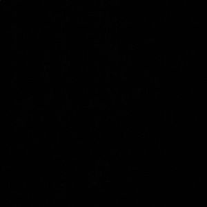 Meet your Posher, Travis